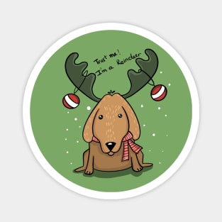 Golden Retriever Dressed Up As Christmas Deer Magnet